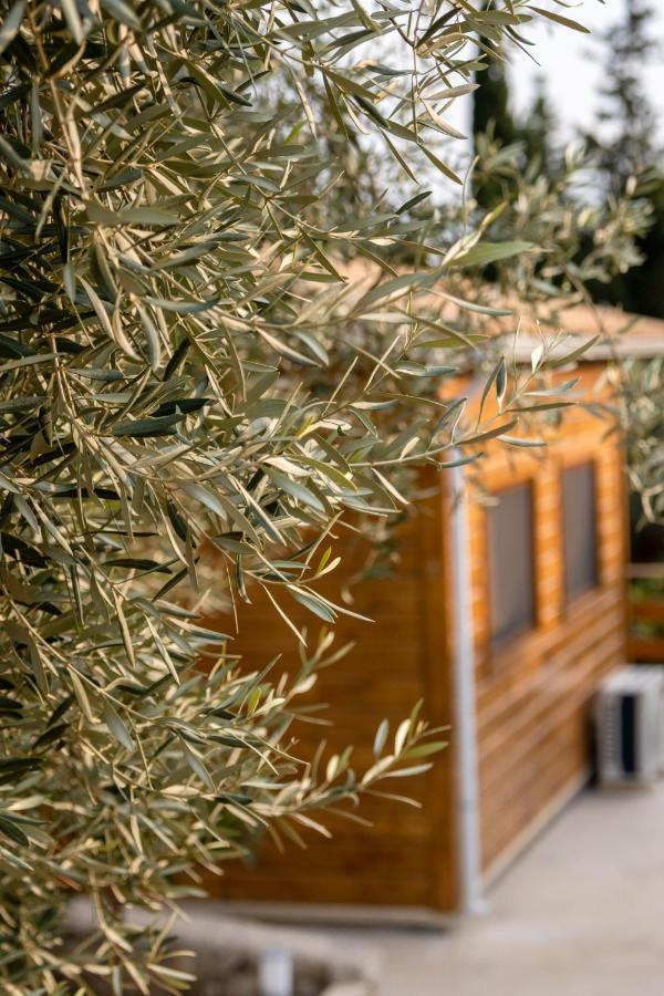 Agrelia Homes Dragano Exterior foto